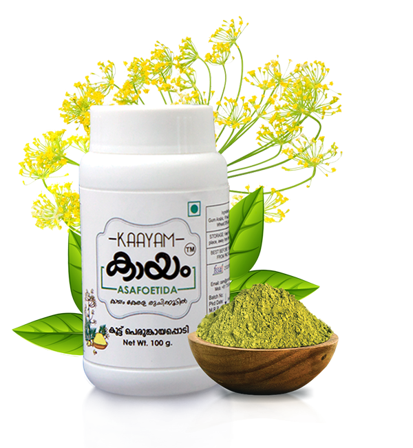 KAAYAM POWDER 100 gm